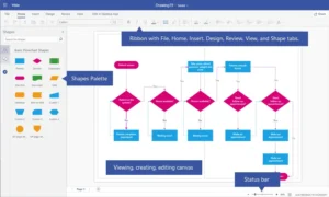 Visio Professional Lifetime Activation Key-web-app