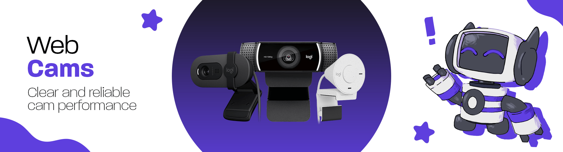 final Web Cams CO banner