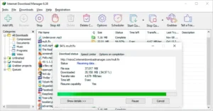 internet-download-manager-idm-screenshot
